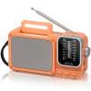 Portable Radio AM FM with Best Reception, Bluetooth Transistor Radio view 1