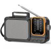 Tendak AM FM Radio with Best Reception, Portable Bluetooth Radio for Gift view 1