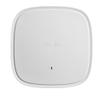 Catalyst C9130AXE-B Wi-Fi 6 External Antenna Dual-Band, 802.11ax Access Point (New Sealed) view 1