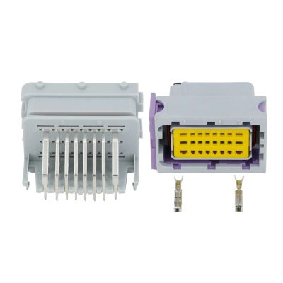 24 Pin Seal Connector Oil to Gas Computer Board 24-Line DJ7241-1.5-2.8-11/21(Male and Female,10 Sets)