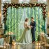 10ft x 8ft Hunter Green Tulle Photo Backdrop Curtain with Lights String for Christmas Party Sheer Curtain Backdrop Drapes for Birthday Party Holiday Wedding Photo Booth Background Room Decorations view 3