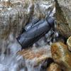 TYUHDUYUR Professional Monocular Telescope 12x50 High Power Scope with Phone Mount and Tripod Scope with 4 Prism FMC for Adults Camping Travelling Wildlife view 3