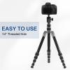 PATIKIL 1/4" Mini Ball Head with 1/4" to 3/8" Screw, 360 Rotating Screw Tripod Mount Panoramic Ball Head DSLR Camera Mount Base Adapter Photograph for Phone Light Camera Loading 6.6lb view 4