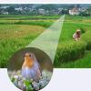 10-30 Zoom Monocular Telescope, Adult 10-30x42 Zoom Monocular, Compact Portable Monocular, Lightweight Handheld Pocket Telescope with Hand Strap, Zoom Monocular Telescope for Bird view 4