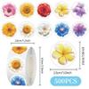1000 Pcs Flower Stickers for Boys Girls School Students. 2 Roll 1 Inch Leaf Plant Stickers Bulk .Floral Scrapbook Nature Sticker Packs for Water Bottles Phone Case Laptop view 3