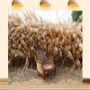 10X7ft Fabric Boho Backdrop Wedding Arch of Pampas and Cereals Bohemian Style Background Party Decoration Baby Shower Baptism Newborn Photo Booth Props view 1