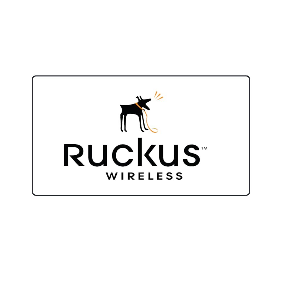Ruckus E100G-QSFP-QSFP-P-0101 100GbE QSFP28 to QSFP28 Passive Twinax Direct Attach Copper Cable, 1m, Data Center Switch Link, Cloud Care Pre-Configured Bundle Eligible
