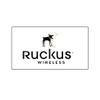 Ruckus E100G-QSFP-QSFP-P-0101 100GbE QSFP28 to QSFP28 Passive Twinax Direct Attach Copper Cable, 1m, Data Center Switch Link, Cloud Care Pre-Configured Bundle Eligible view 1