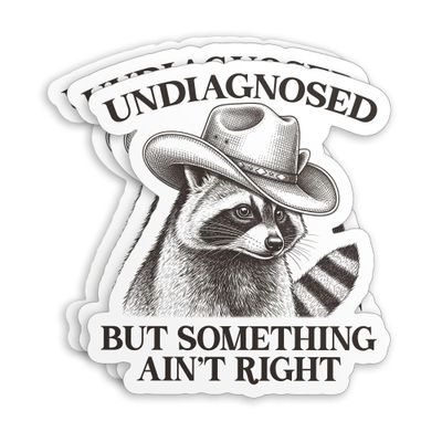 (3Pcs-3") Undiagnosed But Something Aint Right Stickers Funny Raccoon Cowboy Mental Health Humor Waterproof Die-Cut Vinyl Sticker Decal for Laptop Water Bottle Hard Hat Decals Birthday Gifts 3 Inches