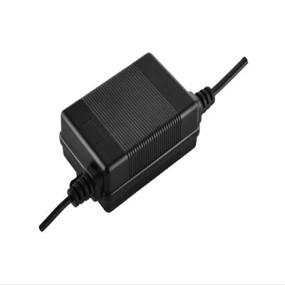 12V2A Dual pin Power Adapter