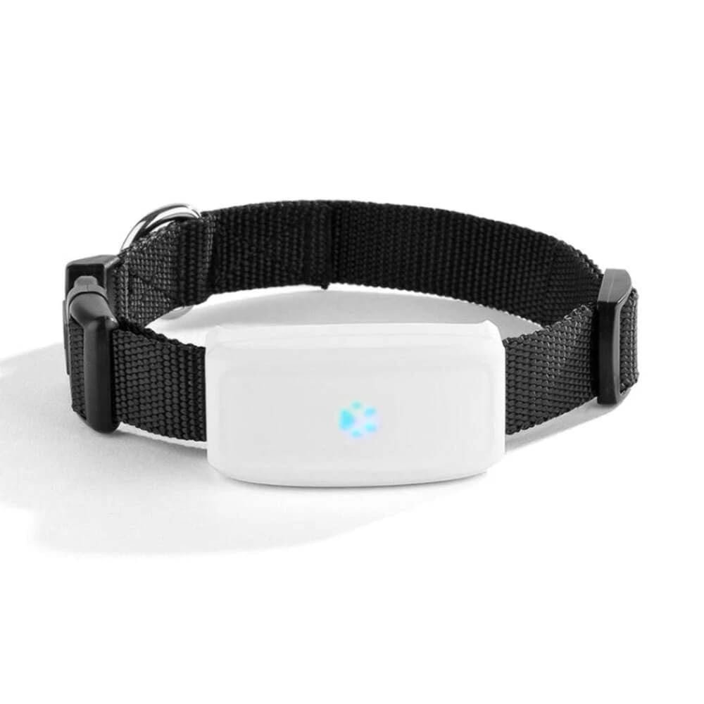 GPS Tracker TK911 LOCALIZZATORE SATELLITARE PER ANIMALI Cane Gatto PET Animals