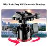Bewinner 28mm Camera Ball Head, Low Profile DSLR Ball Head with 360 Panoramic Rotation Dual Locking Knobs, Plate for DSLR Camera Monopod Camcorder view 4