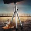 10X50 Big Eyepiece s All Metal Stretch Optical Pirate Mirror Waterproof Small Lightweight Telescopes Schwarz view 4