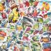 100 PCS Parrot Stickers Pack  Waterproof Vinyl Decals for Water Bottles, Laptops, Phones, Notebook, Cars  Cool Vibrant Graphics for Parrot Enthusiast view 1