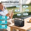 PRUNUS J156 AM FM Radio Portable with Bluetooth, TF Card/USB Playback view 3