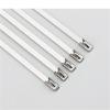 10PCS 4.6mm Stainless Steel Metal Cable Tie Zipper Bag Multifunctional Locking 100/150/200/250/300/350/400/450 Zip Wrap Exhaust for Machinery, Exhaust Wrap(10PCS4.6X200) view 2