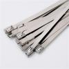 10 20 50 100 200 Pcs 10mm 0.39 inch Exhaust Wrap Multi-Purpose Stainless Steel Metal Cable Tie banding self-locking zip ties for Machinery, Exhaust Wrap(10PCS,10x1000mm) view 4
