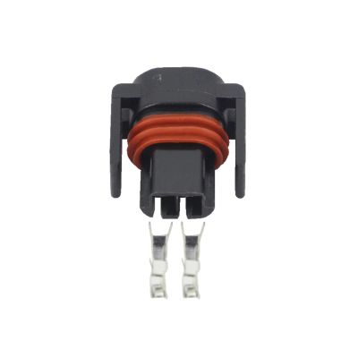 2 Pin Automotive Wiring Harness Connector Connector With Terminal DJ7027Y-1.5-21 2P(5 Sets)