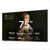 iFFALCON 75-Inch Class QLED 4K Smart TV, Ultra-Slim Picture Frame TV, 144Hz, HDR, Art Mode w/AI Art, Wide Color Gamut, Dolby Vision IQ, Dolby Atmos, Google Assistant Voice Remote(75F75, 2025 Model) view 1