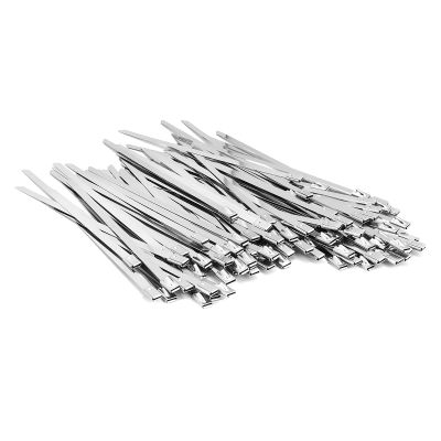 3.9 Inch 200pcs 304 Stainless Steel Zip Ties, 200LBS for Automotive Wiring, Exhaust Wrap, and Vehicle Maintenance (200PCS 3.9inch)