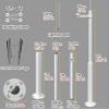 6-20ft Tall Street Light Post,Surveillance Camera Pole Detachable, Solar Panels/Camera Mounting Bracket Pole 0.06in Thick,Holder Post with Lightning Rod(236.2in/600cm) view 2