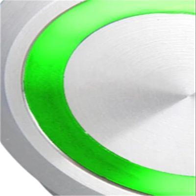 2pcs Screw Terminal Micro Trip Momentary Normally Open Anti Vandal Switch Ring Illumination 22mm(Green,LED Voltage 3V)