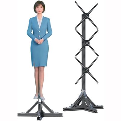 3D Hologram Fan Projector,Vertical Advertising Display for Human Size Animation,for Business Signs Bars and Parties