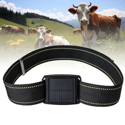 Animal Tracker, Solar GPS Locator Device for Cattle, Goats and Horse, Real-time Positioning & Waterproof