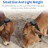 Animal Tracker, Solar GPS Locator Device for Cattle, Goats and Horse, Real-time Positioning & Waterproof view 2