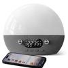 Dekala RestOnn Sunrise Alarm Clock Sunset Sound Machine 7-Day Programmable Loud Dual Alarm Clock, White Noise Natural Sounds for Sleeping Bluetooth Speaker Amber Night Light view 1
