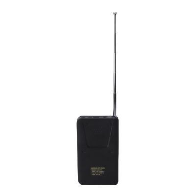 Portable Rechargeable DAB FM Radio with Bluetooth
