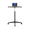 Laptop Floor Stand,Floor Reading Support Stand,Liftable Stainless Steel Workbench,Suitable for Home Outdoor Office,with Rollers(Black,Hight 85-95cm) view 1