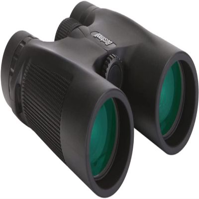 10x42 High Power Binoculars for Adults, Fully Multi-Coated Waterproof Night Vision Telescope for Bird Watching & Travel