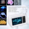 Sanpyl 3D Holographic Player Bluetooth Sppeaker for Advertising, Wireless Music Player, for Bedroom, Desk, Home Decor view 3