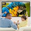 100 Inch Projector Screen for Indoor Outdoor, 16:9 4K Washable Foldable Thick Canvas Movie Screen 120 Inch for Home Theater, Camping, Front Rear Projection(150 inch 16: 9) view 2