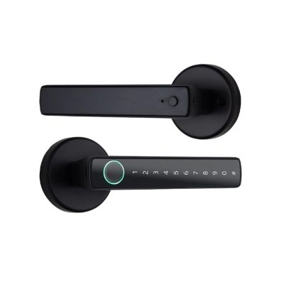 HABCGYUR Smart Door Handle. Fingerprint Door Lock Digital Electronic with Password/Key/APP Remote Unlocking(Black)