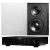 OSD Audio Premium in-Wall Dual Subwoofer & Amplifier Bundle - SAM300 300W Class A/B Mono Sub Amplifier w/ SL800D 300W Dual Driver Passive in-Wall Subwoofer view 1