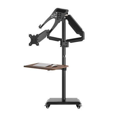 Laptop Floor Stand,Movable Dual-Screen Lifting Podium,Floor-Standing Steel Computer Stand,for Home Outdoor Office