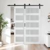 48''84 in. Glass Shape Bypass Manufactured Wood Barn Door with Installation Hardware Kit(Size not Include Overlap Area:7 inch) view 1