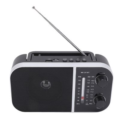 Bewinner Multiband AM FM SW Radio with Bluetooth, Rechargeable Portable Radio with Digital Display, Handheld Speaker for Elderly, Home, Travel Emergencies (GB Plug 220V)