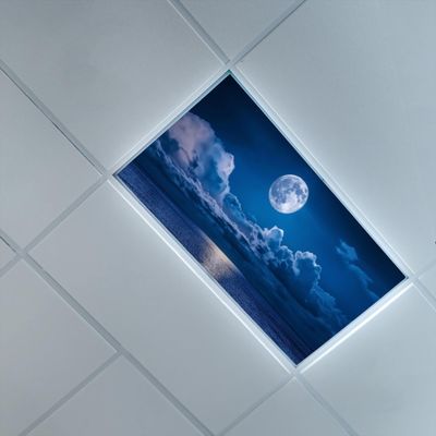 2ft x 4ft Fluorescent Light Cover for Ceiling,Night Scene Theme,Fluorescent Light Filters for Office & Classroom Drop Lamp Decorative,BlueMoon
