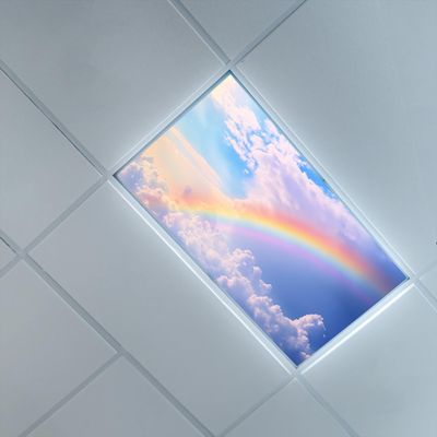 2ft x 4ft Fluorescent Light Cover for Ceiling,Sky Clouds Theme,Fluorescent Light Filters for Clinic Library Offices Drop Lamp Decor,Blue OrangeRainbow