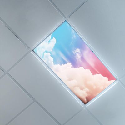 4 x 2 Feet Fluorescent Light Cover for Ceiling,Sky Theme,Fluorescent Light Filters for Clinic Library Offices Drop Lamp Decor,Blue PinkClouds