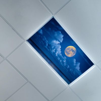4 x 2 Feet Fluorescent Light Cover for Ceiling,Night Scene Theme,Fluorescent Light Filters for School Home Office Drop Lamp Decor,BlueMoon