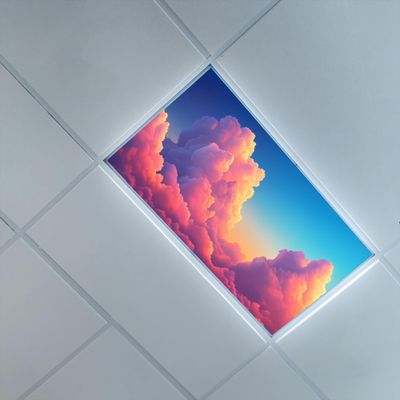 2ft x 4ft Fluorescent Light Cover for Ceiling,Sky Theme,Fluorescent Light Filters for Office & Classroom Drop Lamp Decorative,Orange PinkClouds