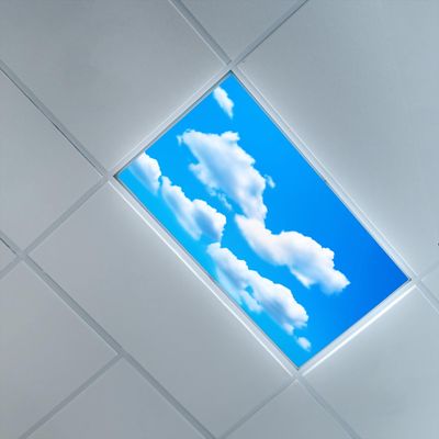 2ft x 4ft Fluorescent Light Cover for Ceiling,Sky Theme,Fluorescent Light Filters for Clinic Library Offices Drop Lamp Decor,Blue WhiteClouds