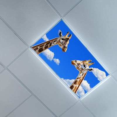 4 x 2 Feet Fluorescent Light Cover for Ceiling,Sky Clouds Theme,Fluorescent Light Filters for School Home Office Drop Lamp Decor,Blue WhiteGiraffe