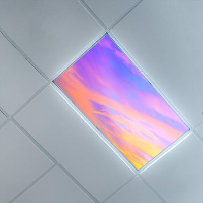 2ft x 4ft Fluorescent Light Cover for Ceiling,Sunset Theme,Fluorescent Light Filters for Clinic Library Offices Drop Lamp Decor,Purple OrangeSky