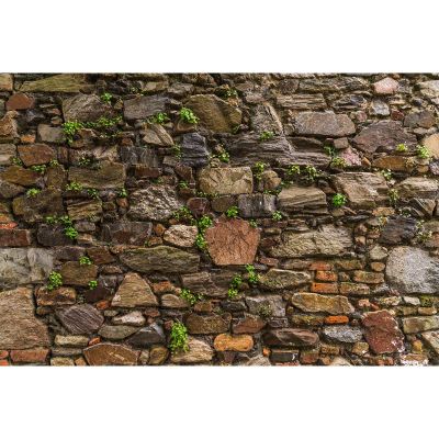 Stone Wall Aquarium Background Natural Retro Old Town Stone Wall Fish Tank Background Moss Lichens Rocky Walls Reptile Tank Backgrounds Vintage Walls Green Grass Reptile Enclosure Backgrounds 30x18in