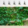 Stone Wall Texture Aquarium Background Green Ivy Old Stone Wall Pattern Fish Tank Background Lush Ivy Reptile Tank Backgrounds Vintage Walls Fresh Green Grass Reptile Enclosure Backgrounds 72x16in view 2